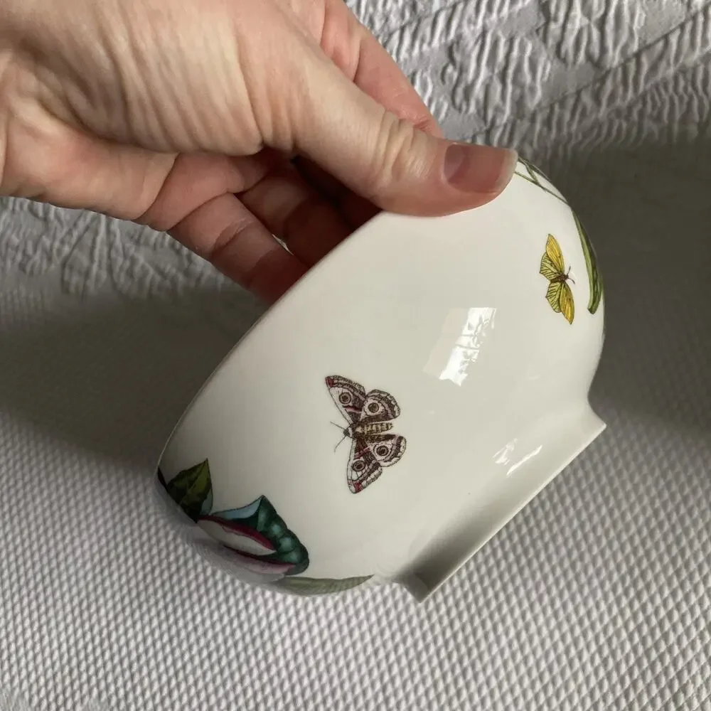 Lot of 2 Portmeirion Botanic Hummingbird 6